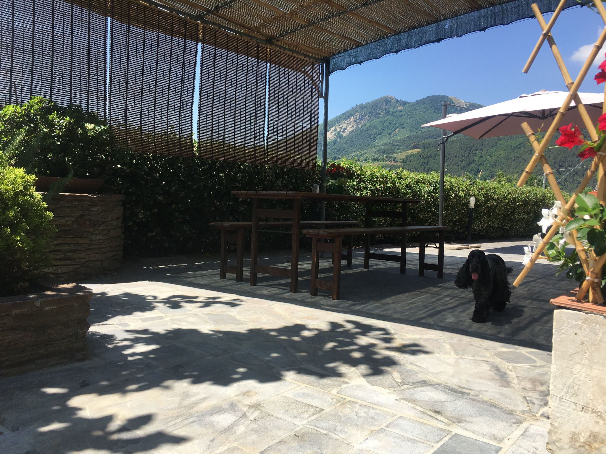 Wohnung 'Gelsomini' mit Meerblick-Inside