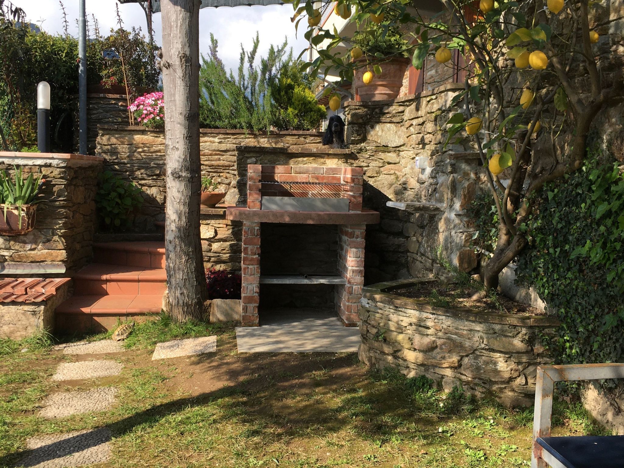 Wohnung 'Gelsomini' mit Meerblick-Inside