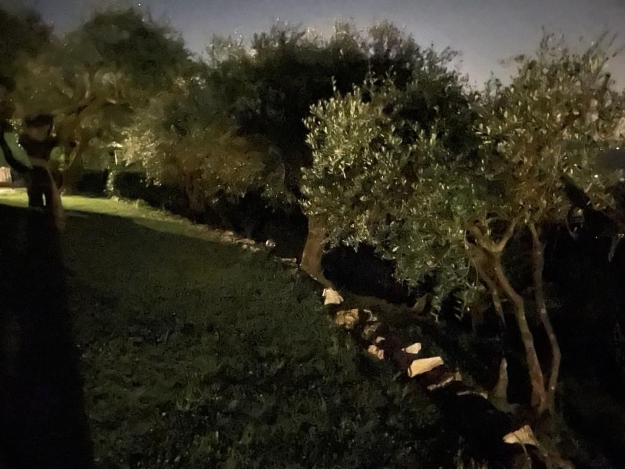 'Villa Lorien' mit Wasserblick-Binnen