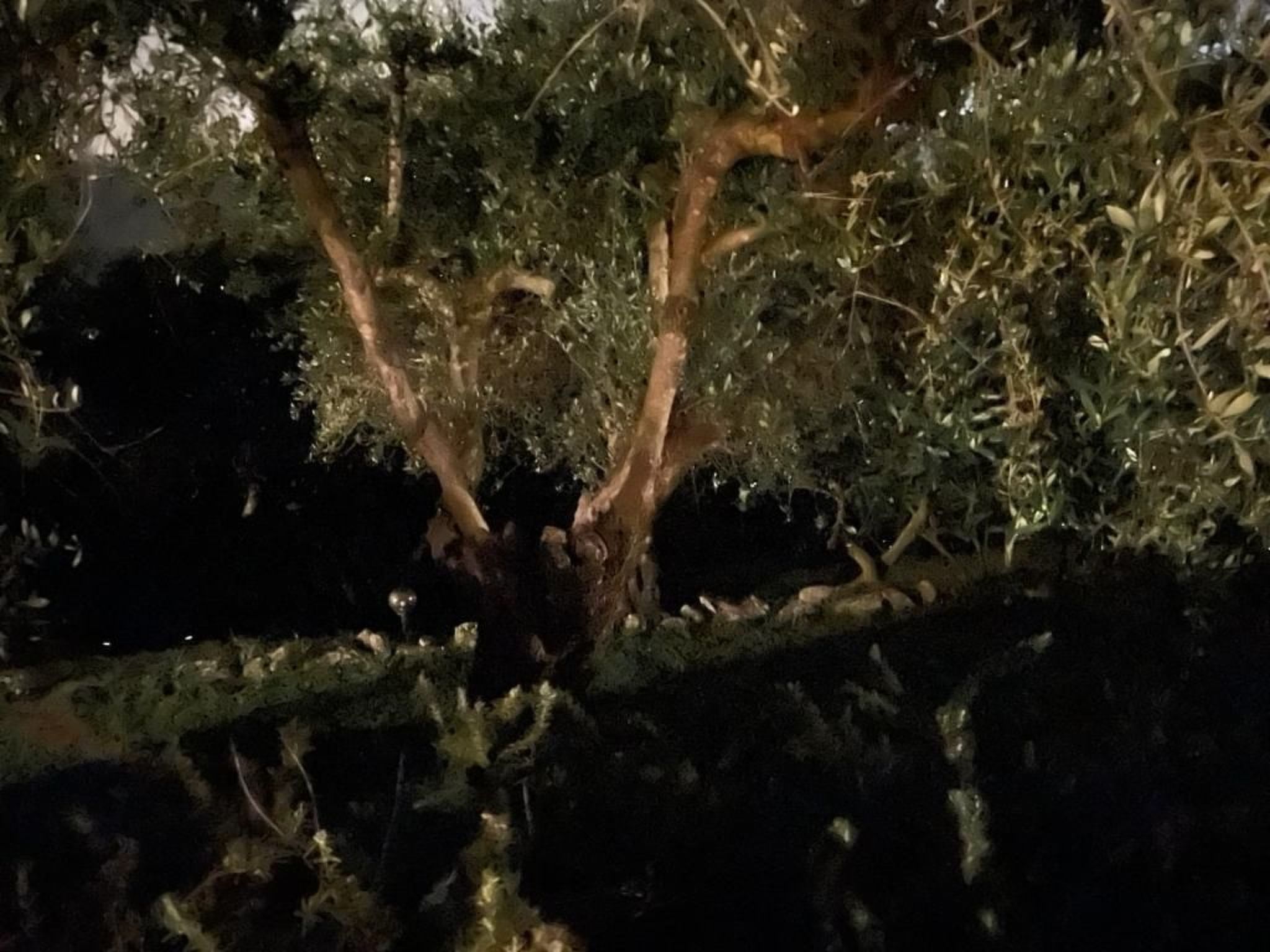 'Villa Lorien' mit Wasserblick-Binnen