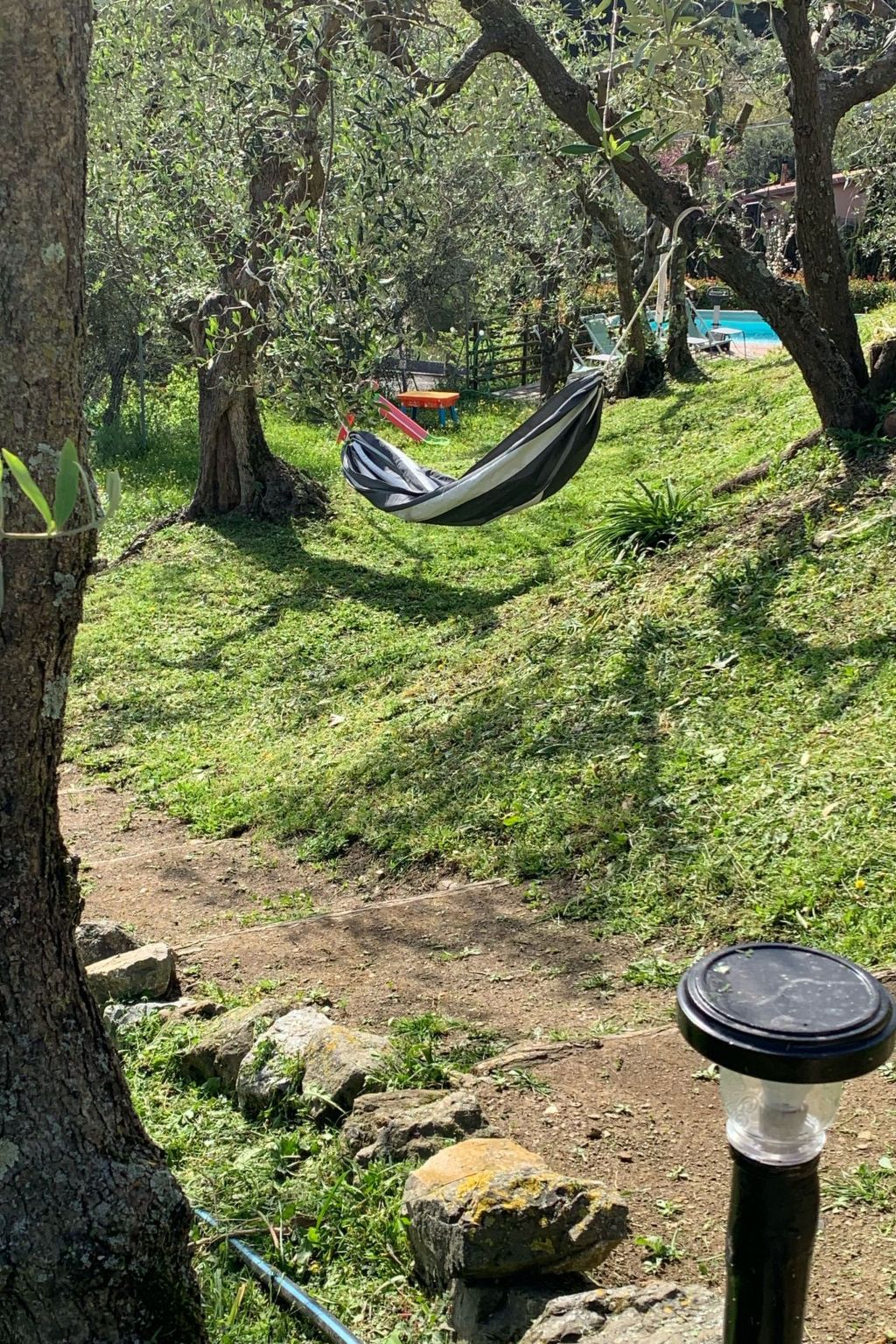 Wohnung 'Giuseppina6' mit Schwimmbad-Draußen