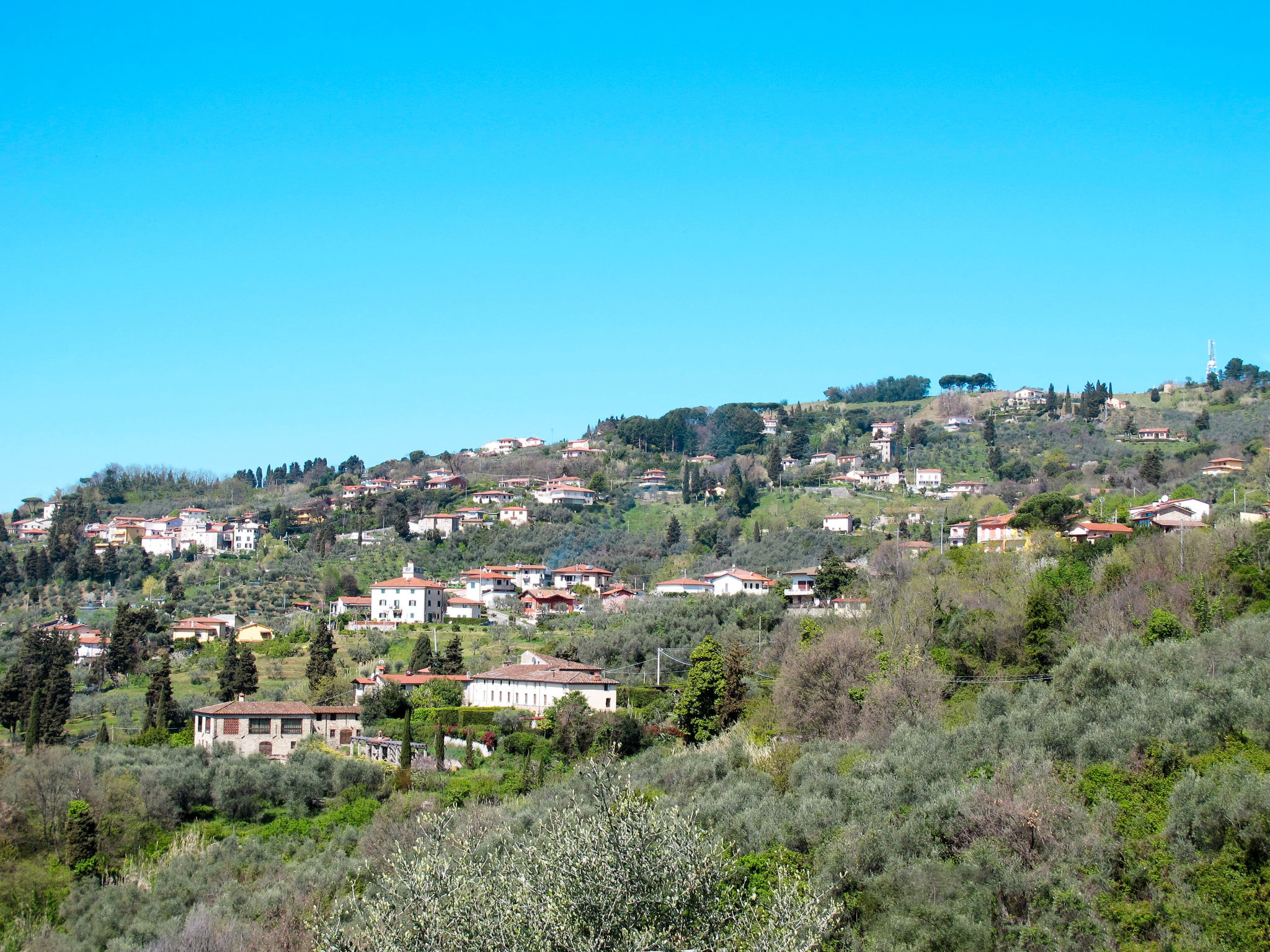 Casa Frantoio di Mommio - Omgeving