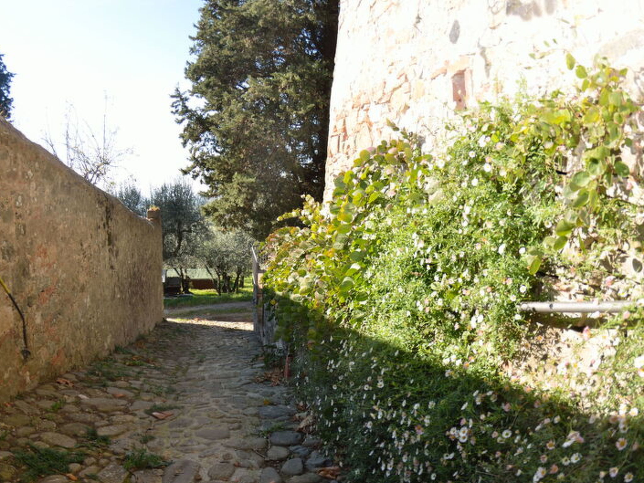 La Cipressa - Draußen