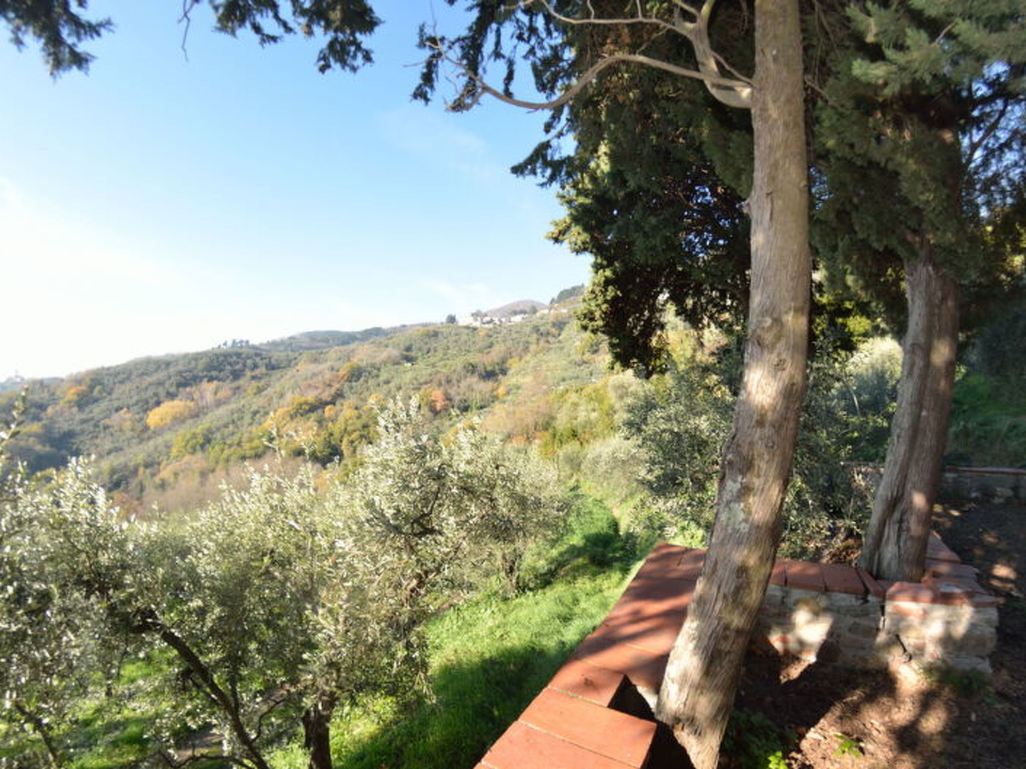 La Cipressa - Image-tags.info