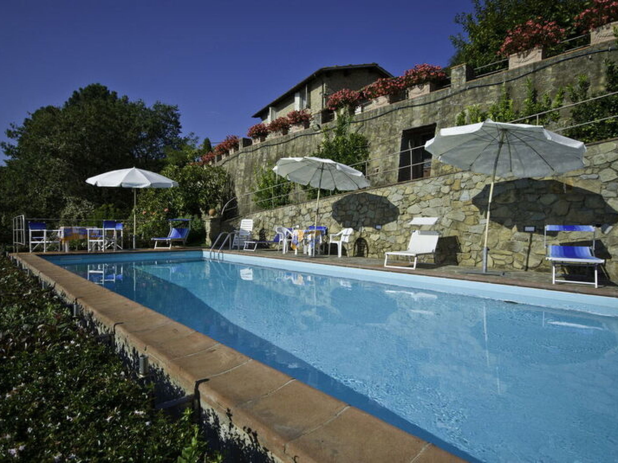 Podere Aida Proprietà