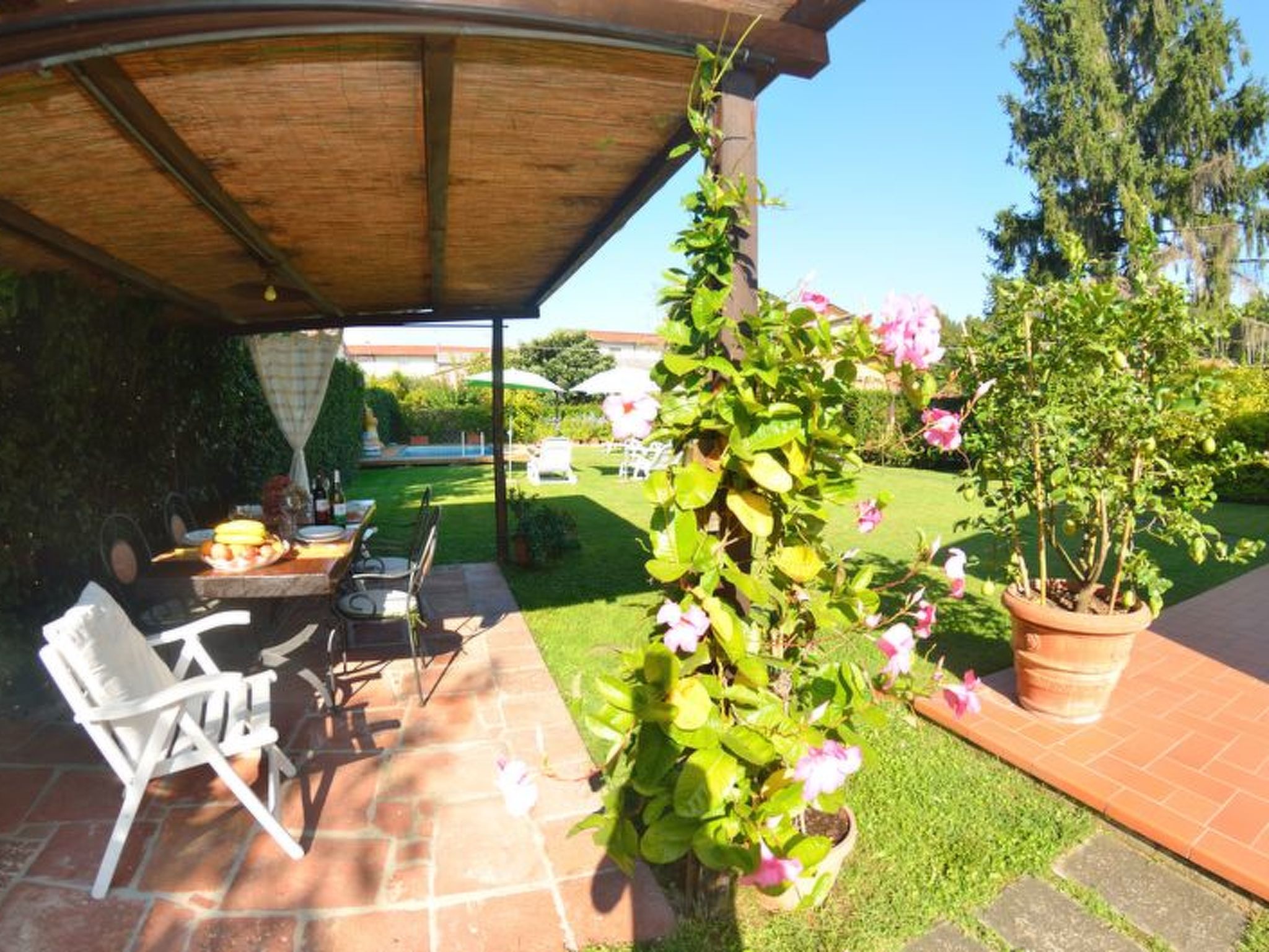 La Capannella Del Cinema