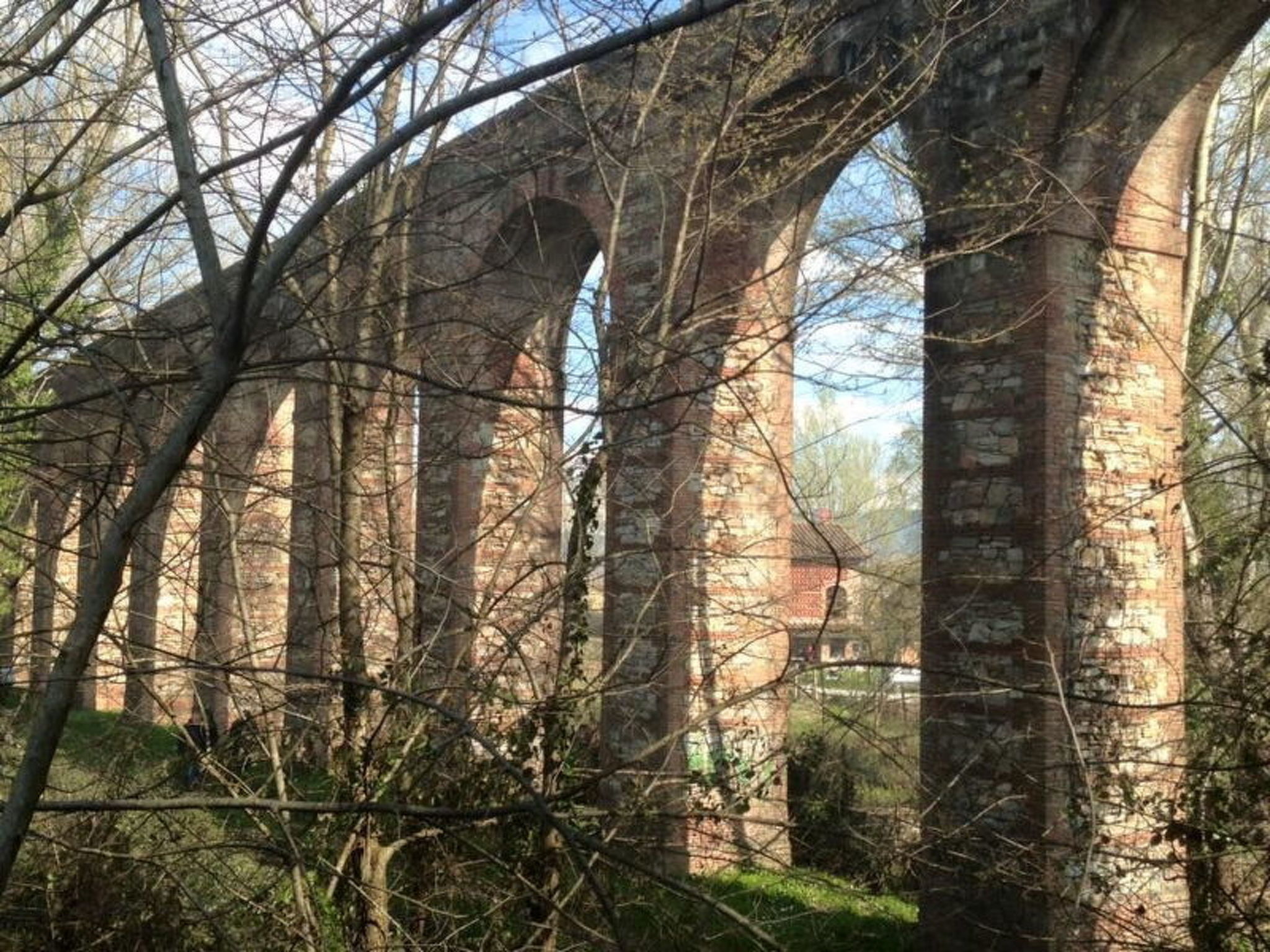La Piccola Margherita - Buiten