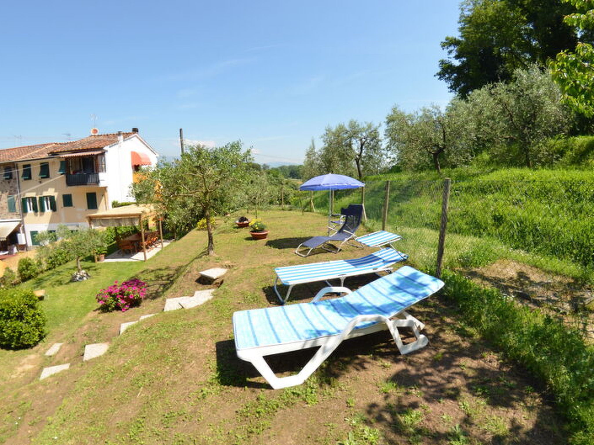 La Piccola Margherita - Buiten