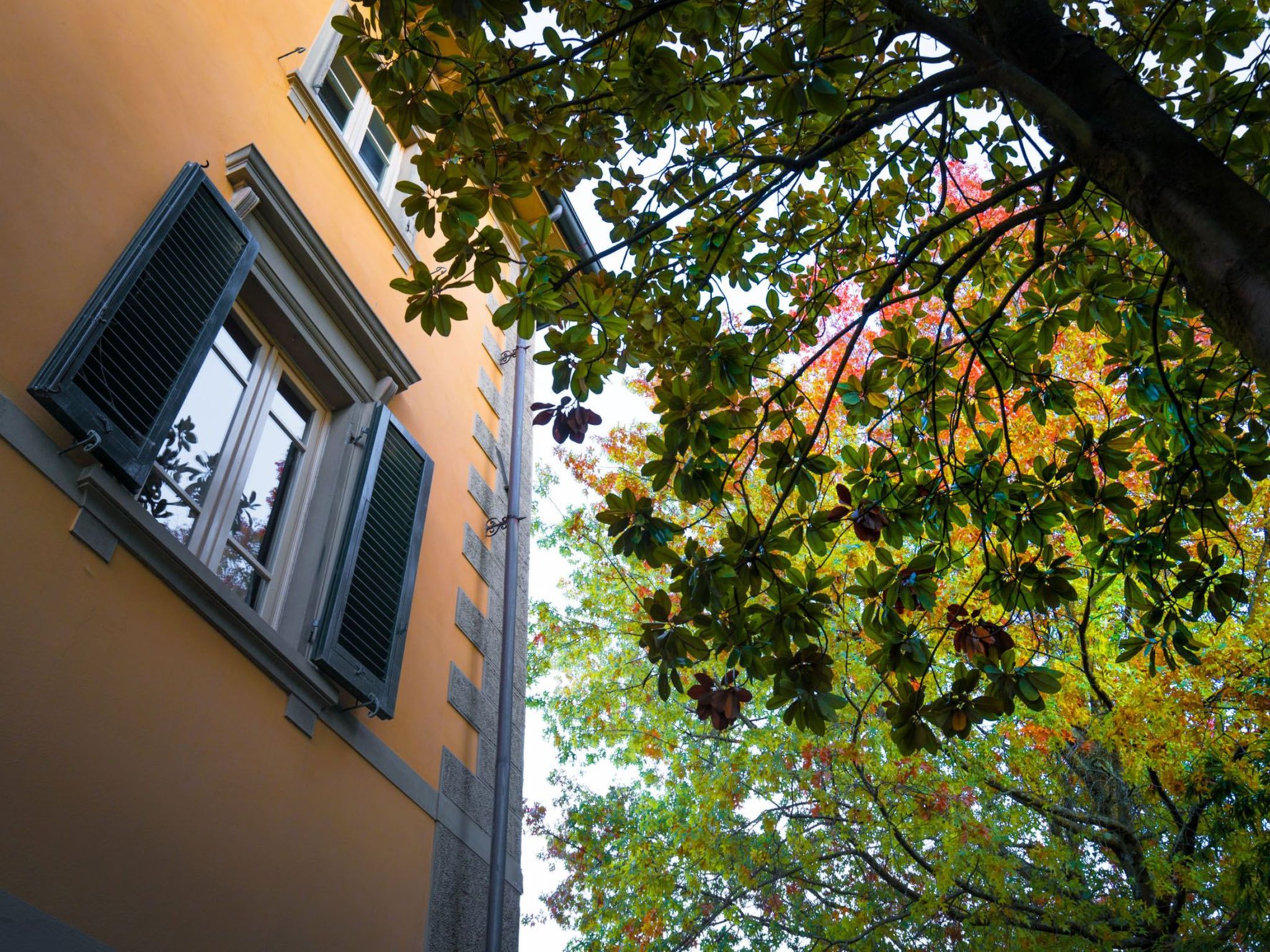 Villa mit Garten und privatem Pool-Binnen