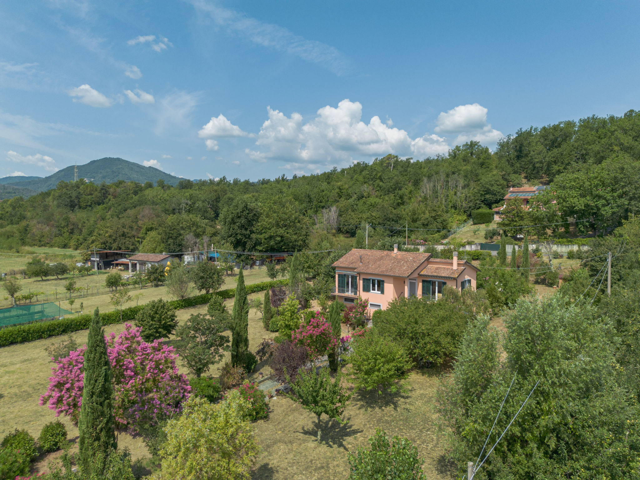 Gli Oleandri di Grazia