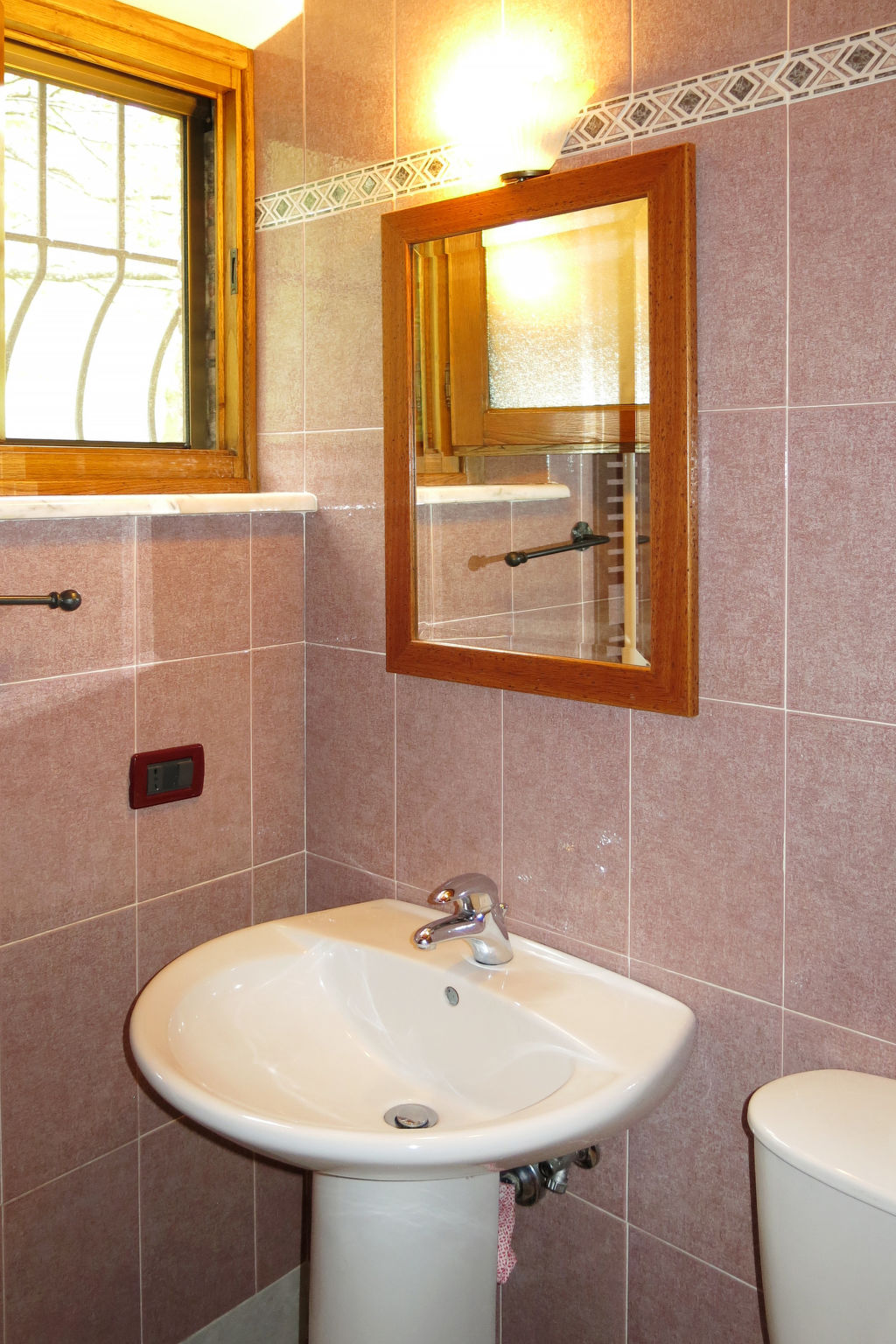 Photo of Belvedere (BLU101)