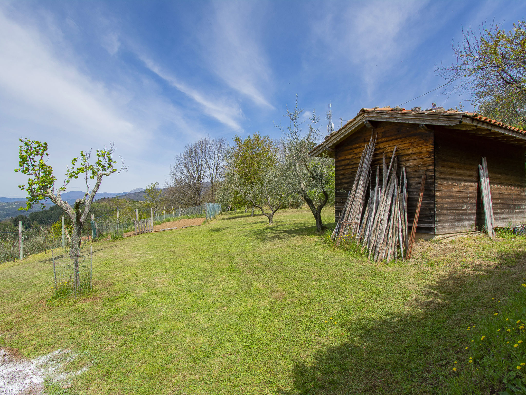 Photo of delle Stelle