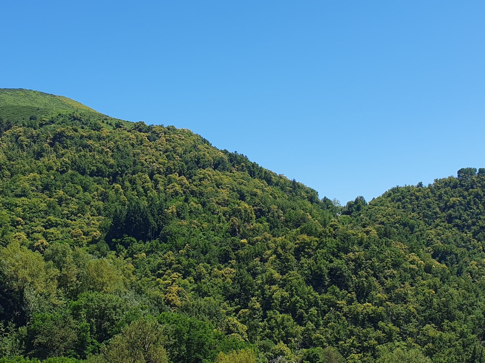 Villa 'Monticello' mit eigenem Pool-Binnen