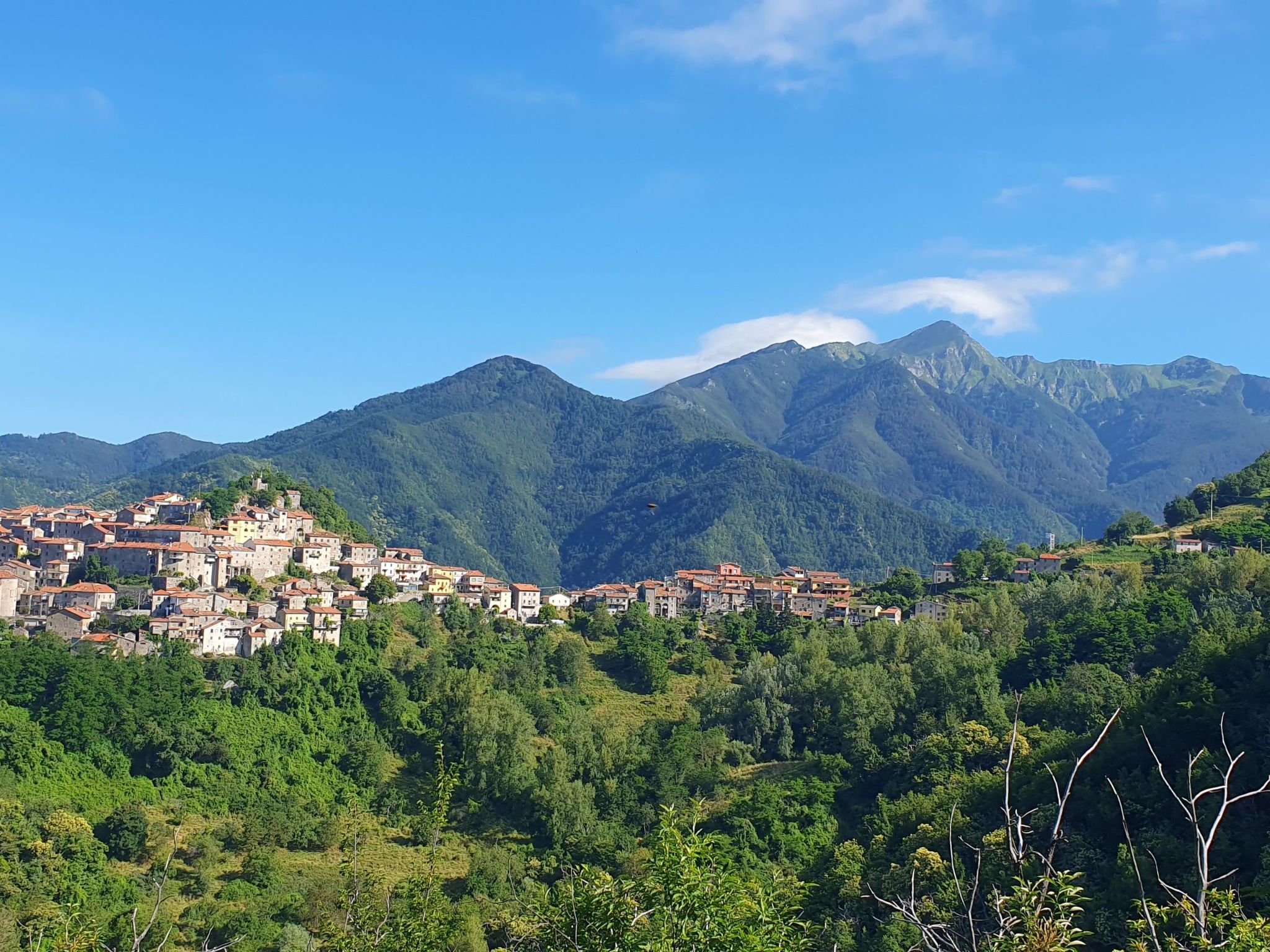 Villa 'Monticello' mit eigenem Pool-Binnen