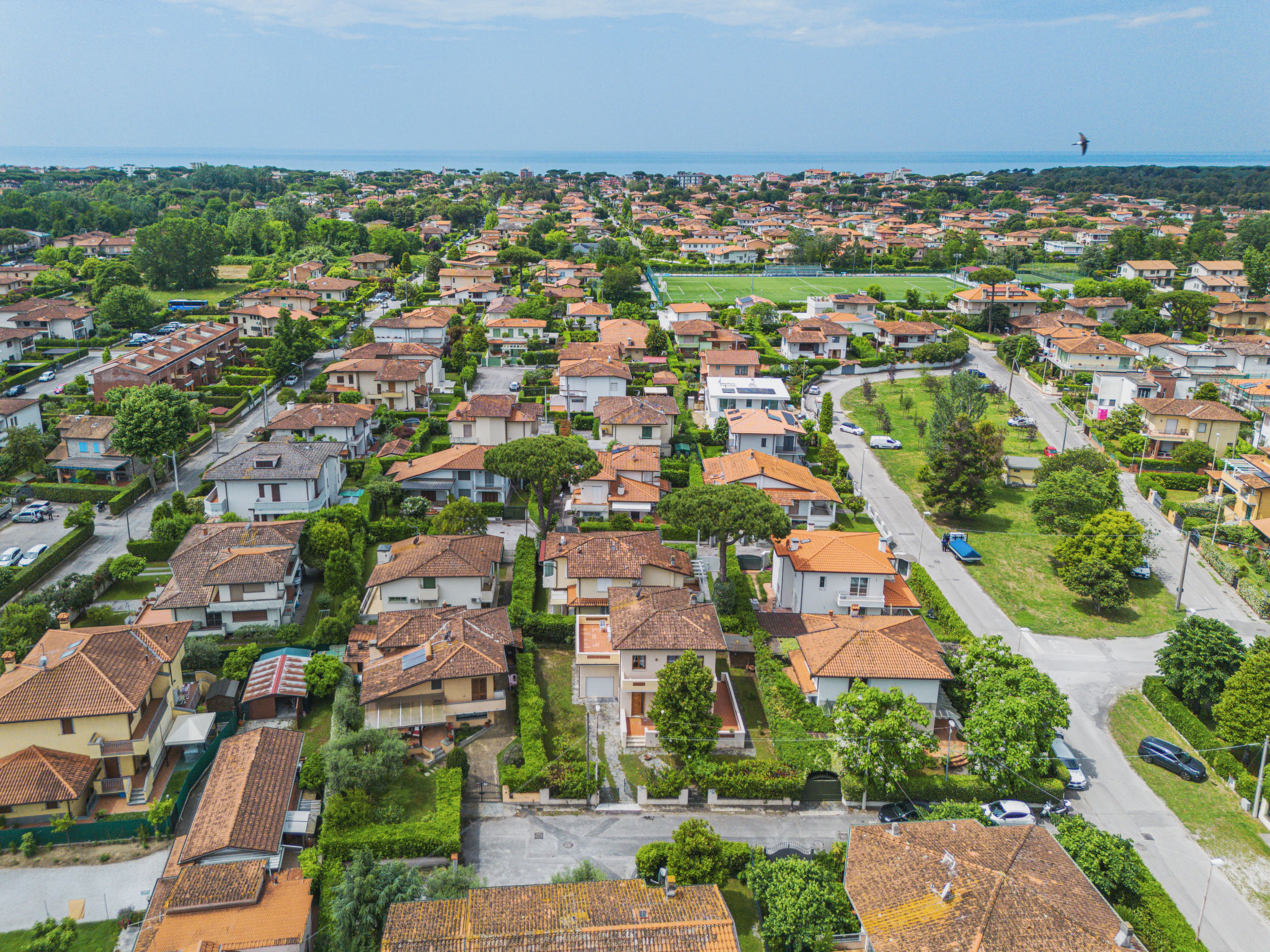 Photo of Maria Luisa