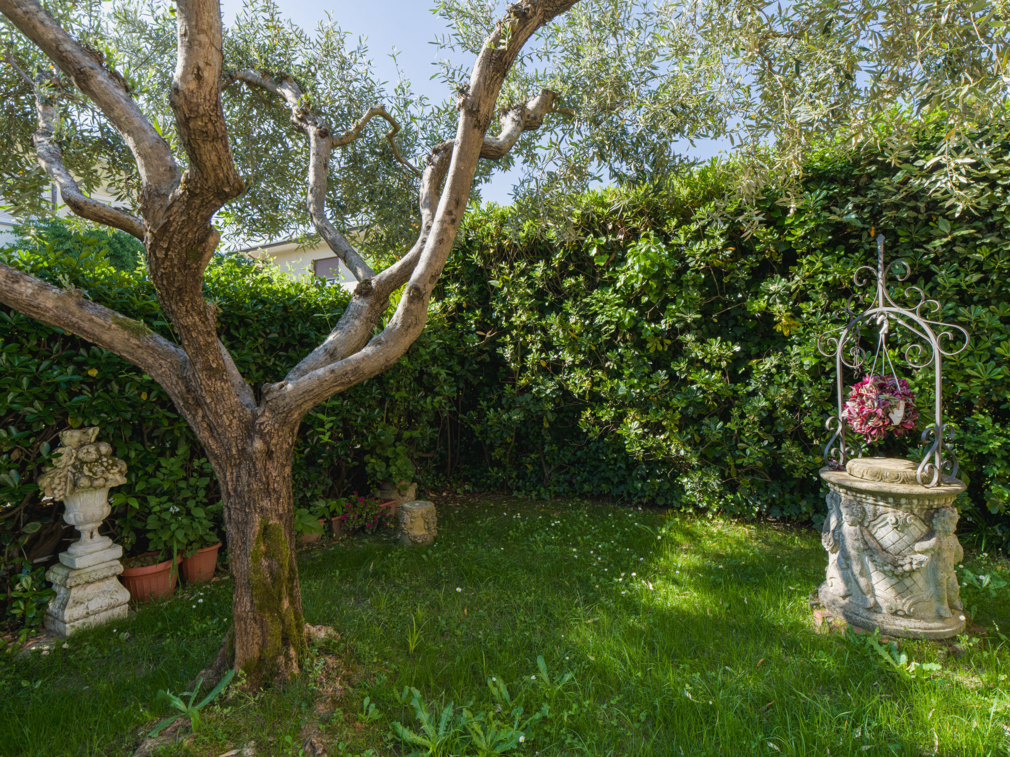 Photo of Villino Viola