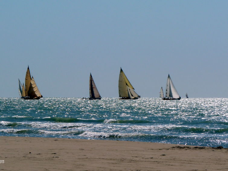 Photo of Versilia