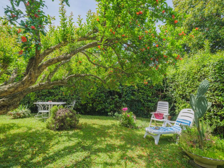 Search and Stay destination Pietrasanta, Toscana - Italy from AU$ 286. Cristina