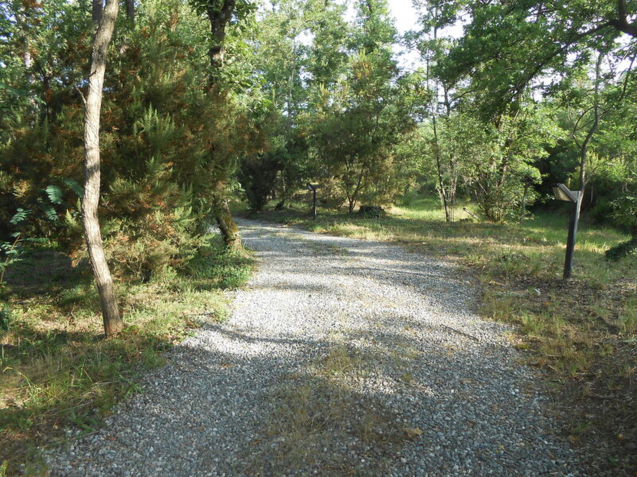 Photo of Green Hills 13