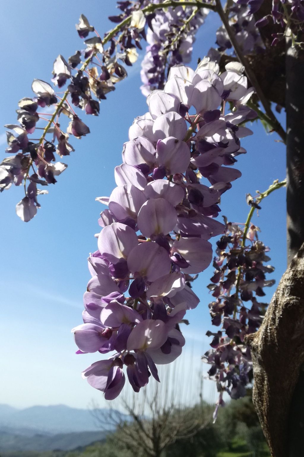 "Casale Colle Belvedere"-Inside