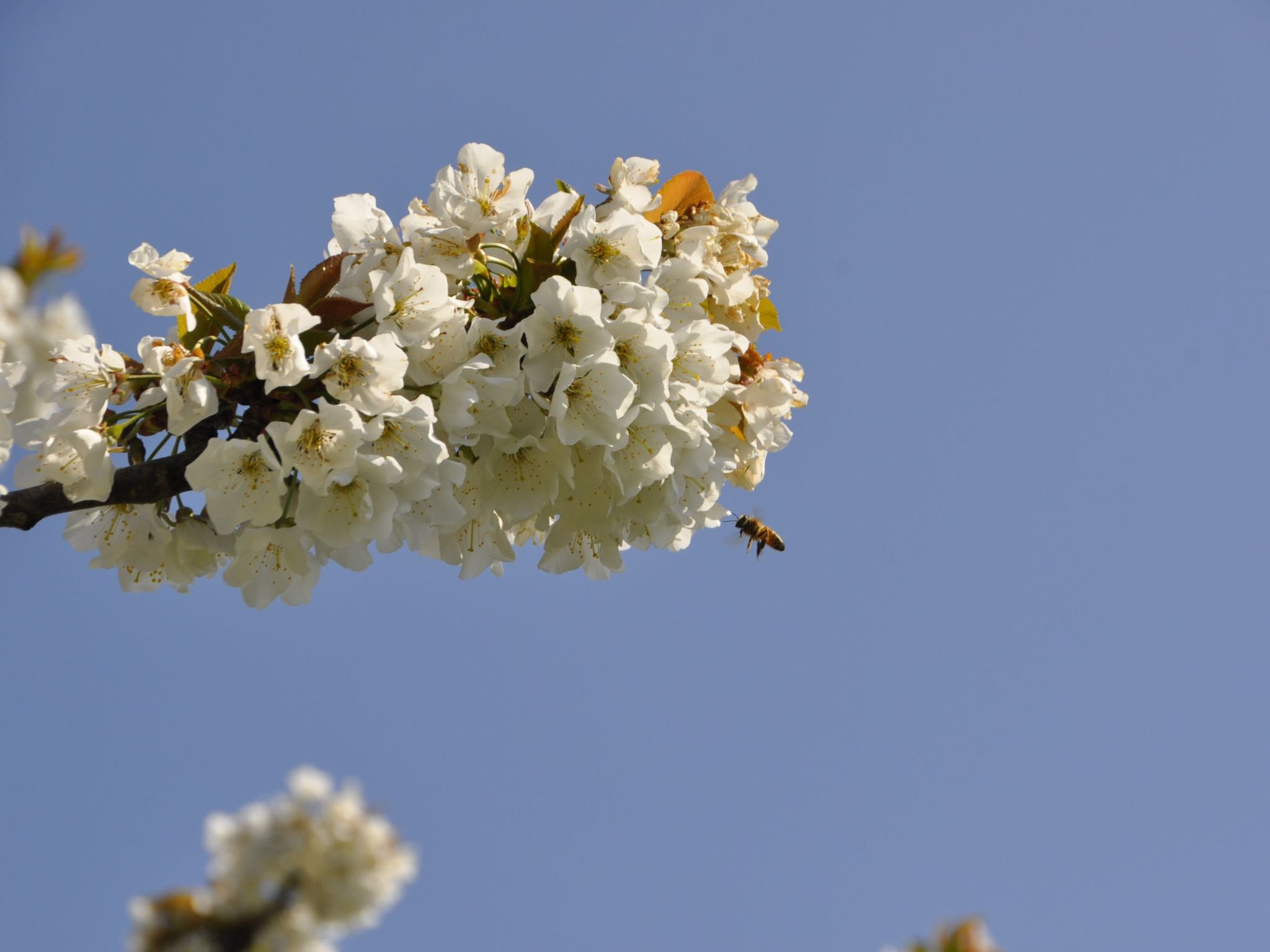 "Casale Colle Belvedere"-Inside