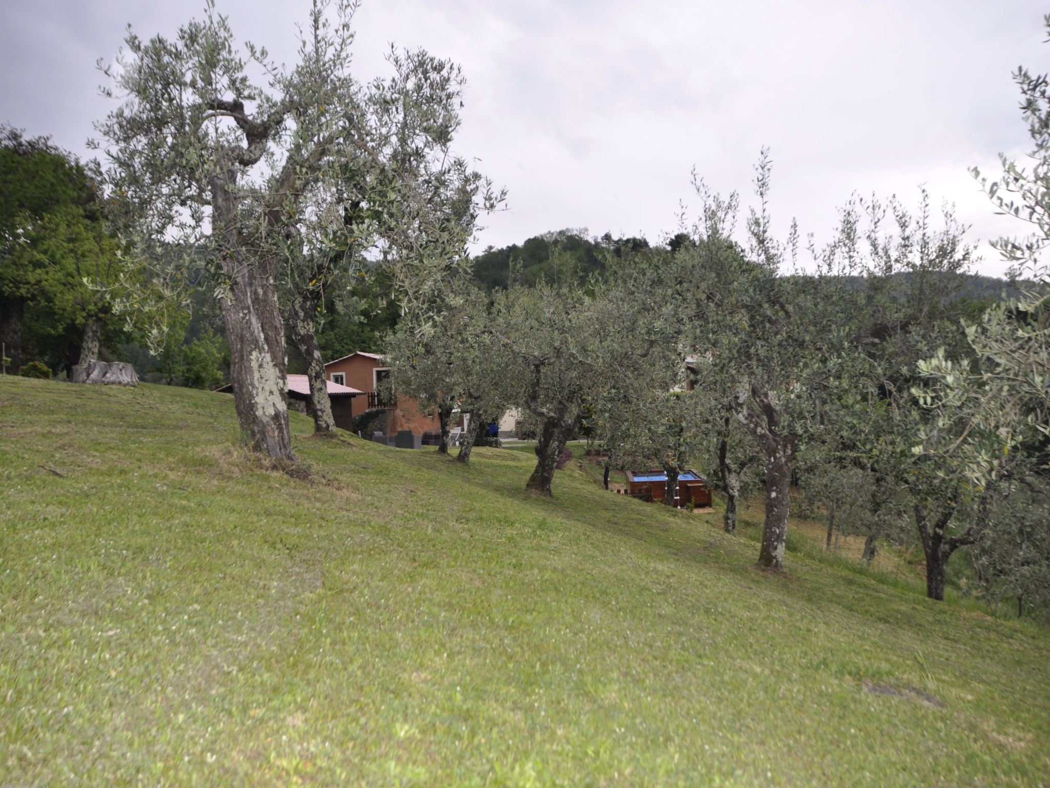 "Casale Colle Belvedere"-Inside