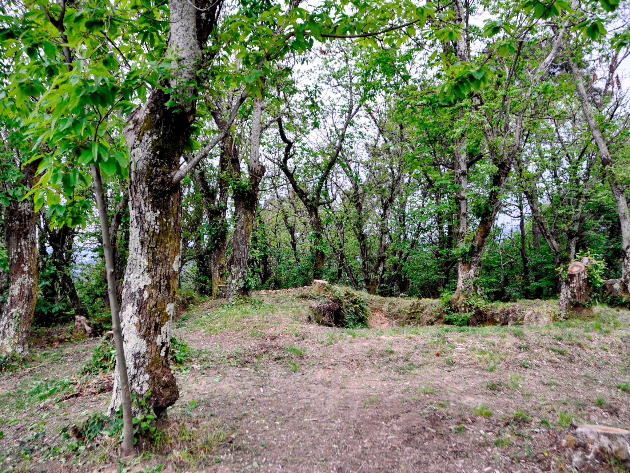 "Casale Colle Belvedere"-Inside