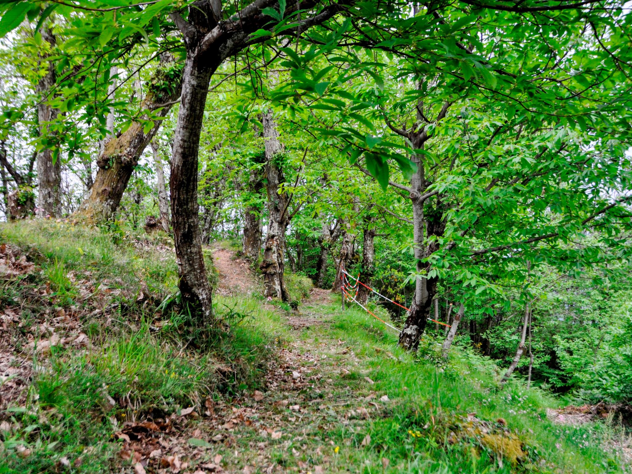 "Casale Colle Belvedere"-Inside
