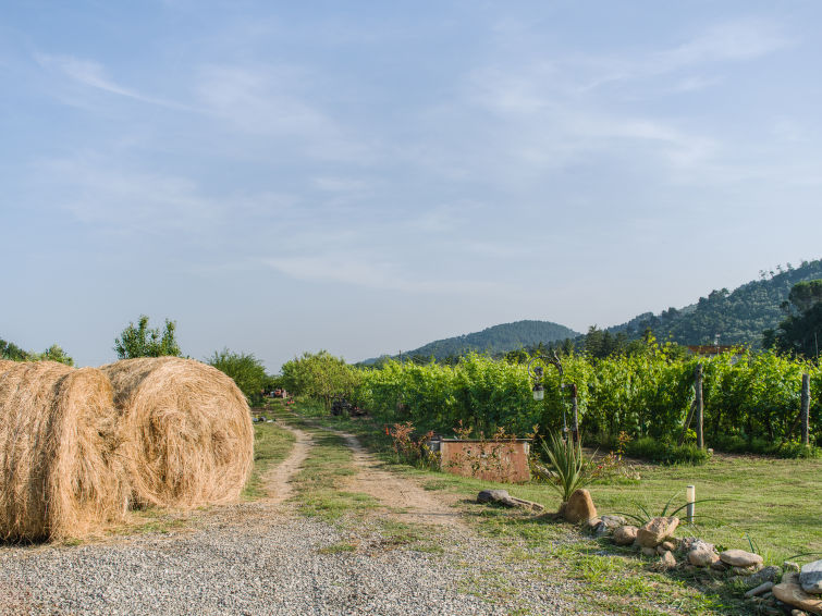 Photo of I Sei Filari