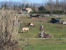 Casa di vacanze I Sei Filari