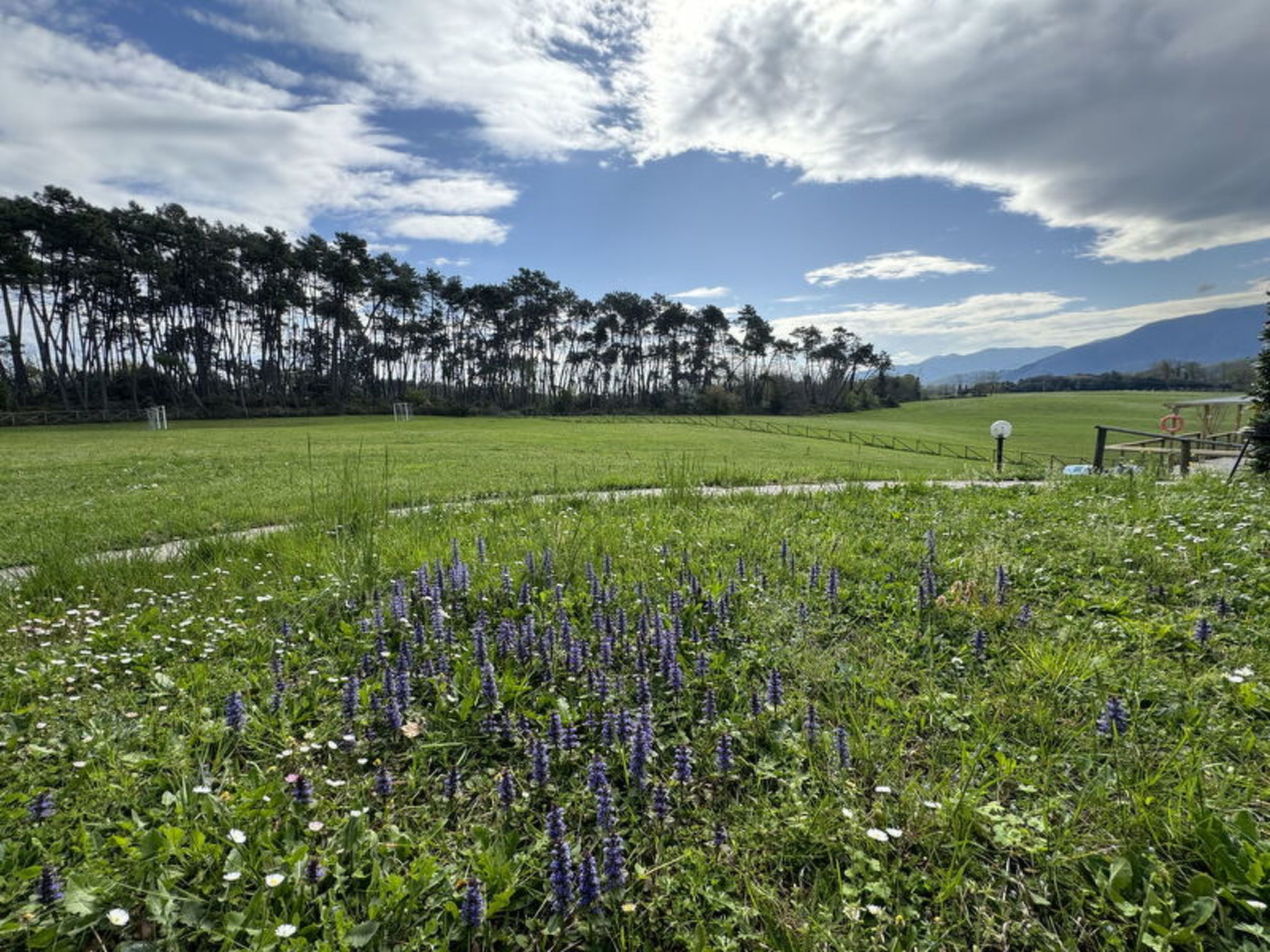 Photo of Green Hills 13