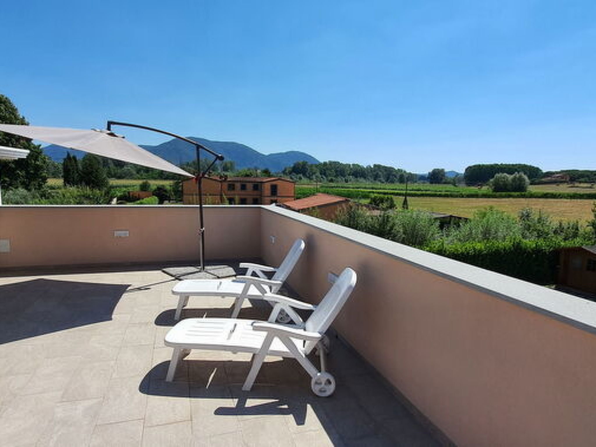 Amedeo - Image-tags.info