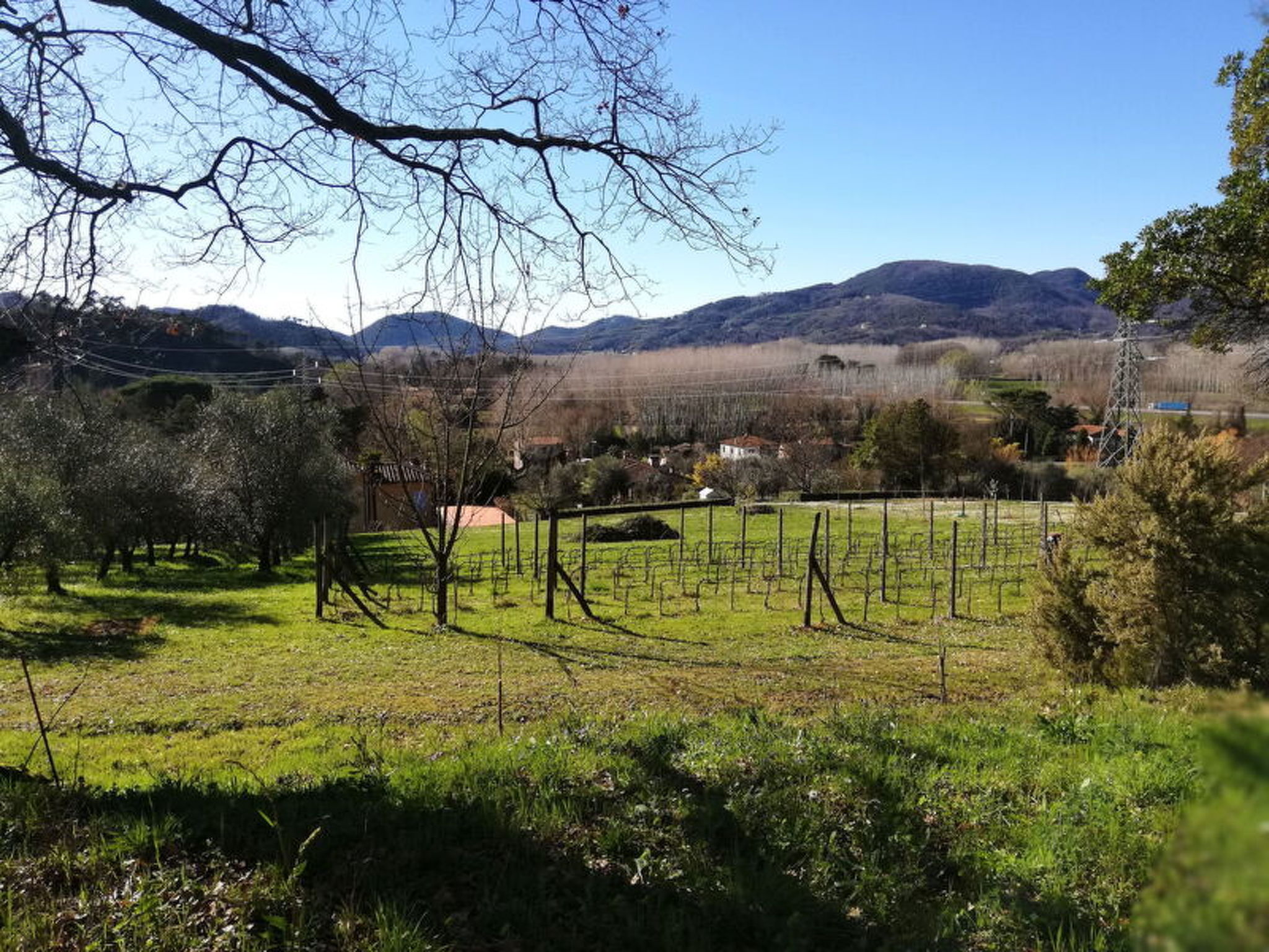 Photo of Le Piane