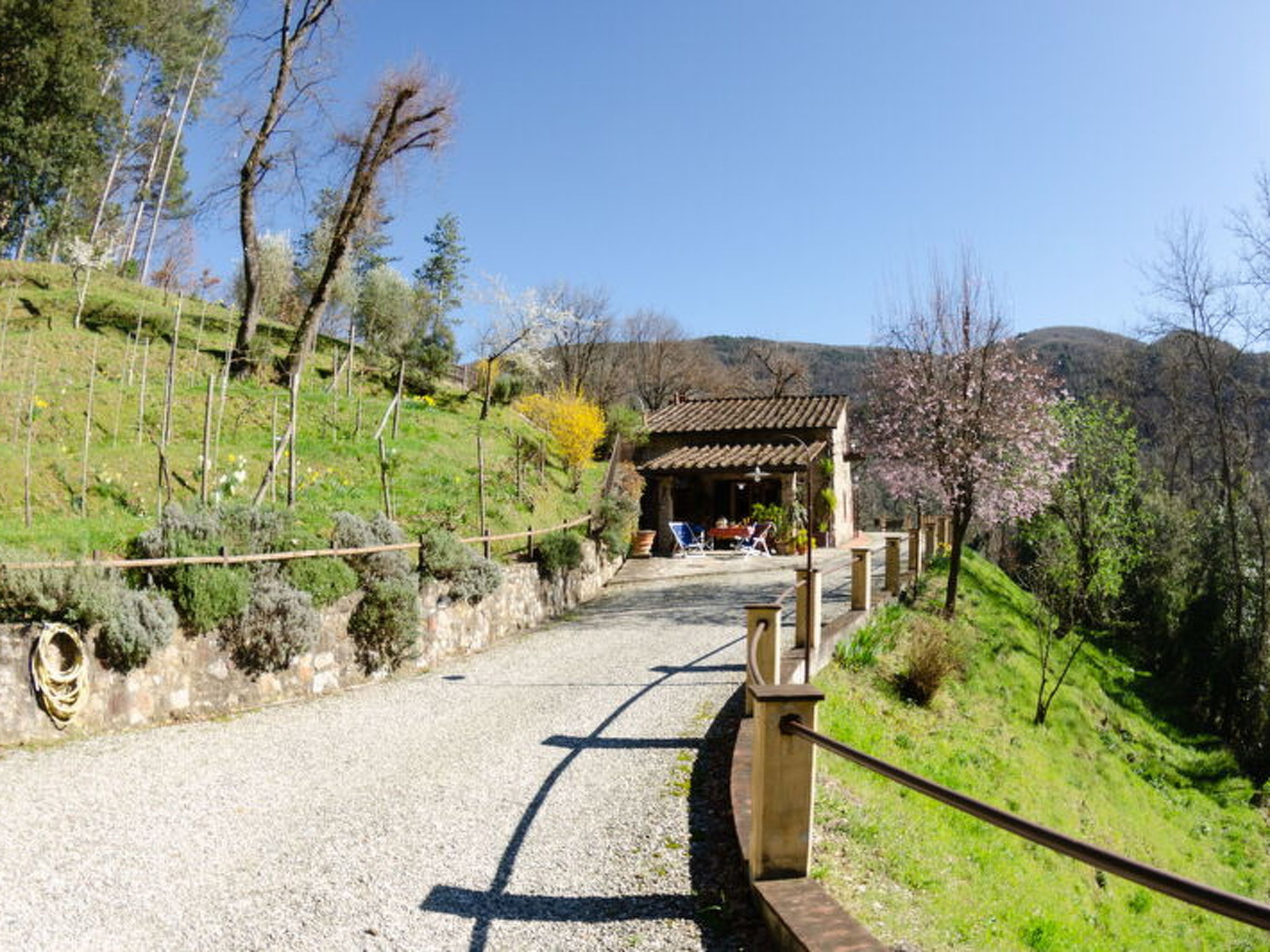Photo of Le Piane