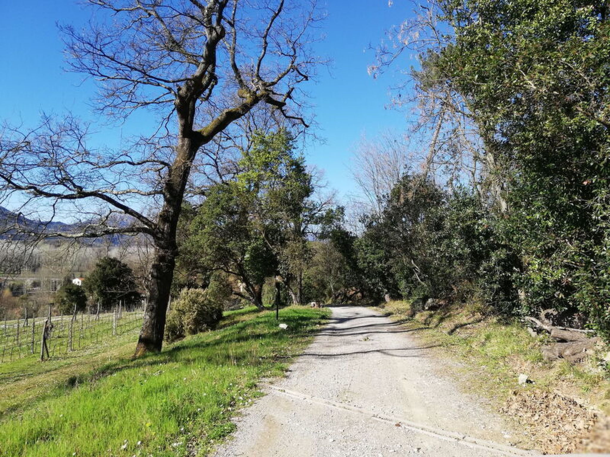 Photo of Le Piane