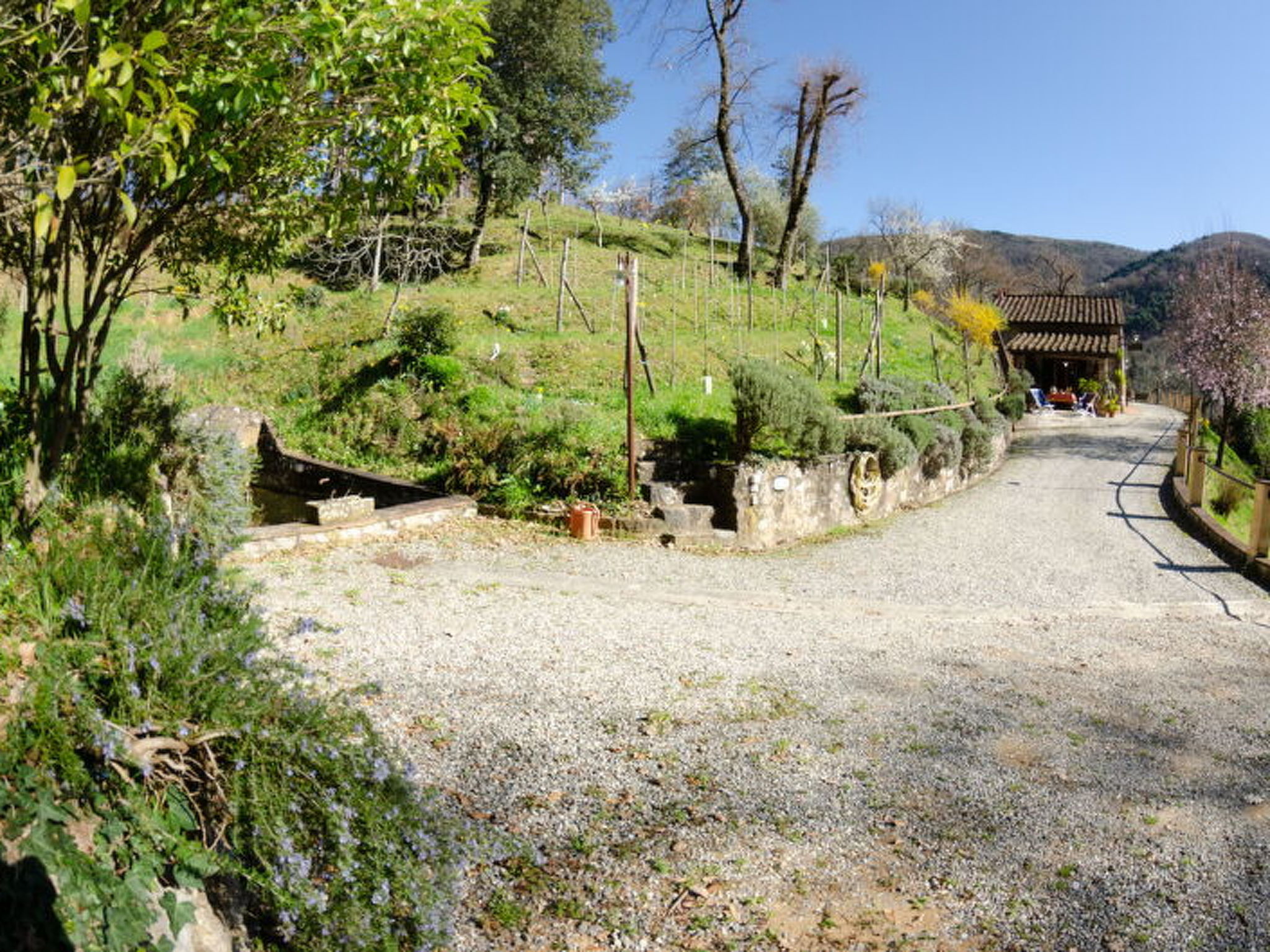 Photo of Le Piane