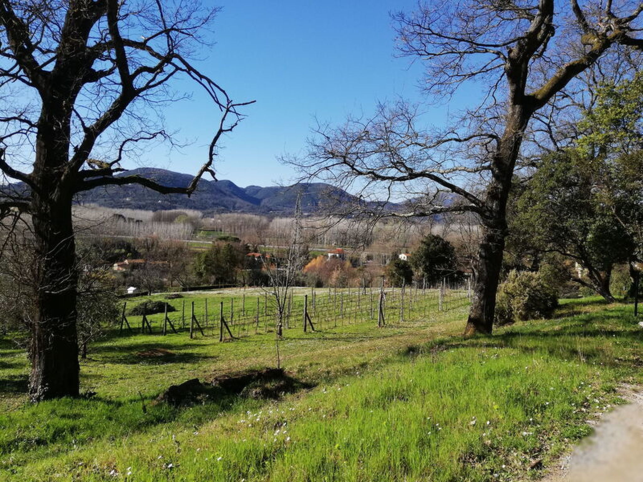 Photo of Le Piane