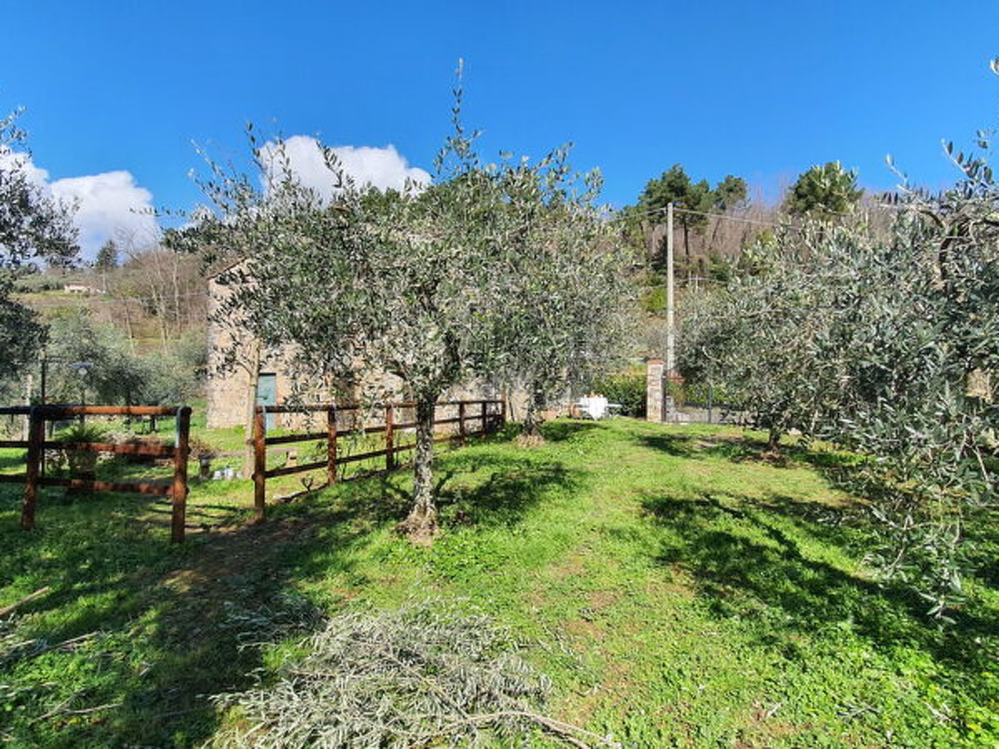 Il Cantuccio - Dehors