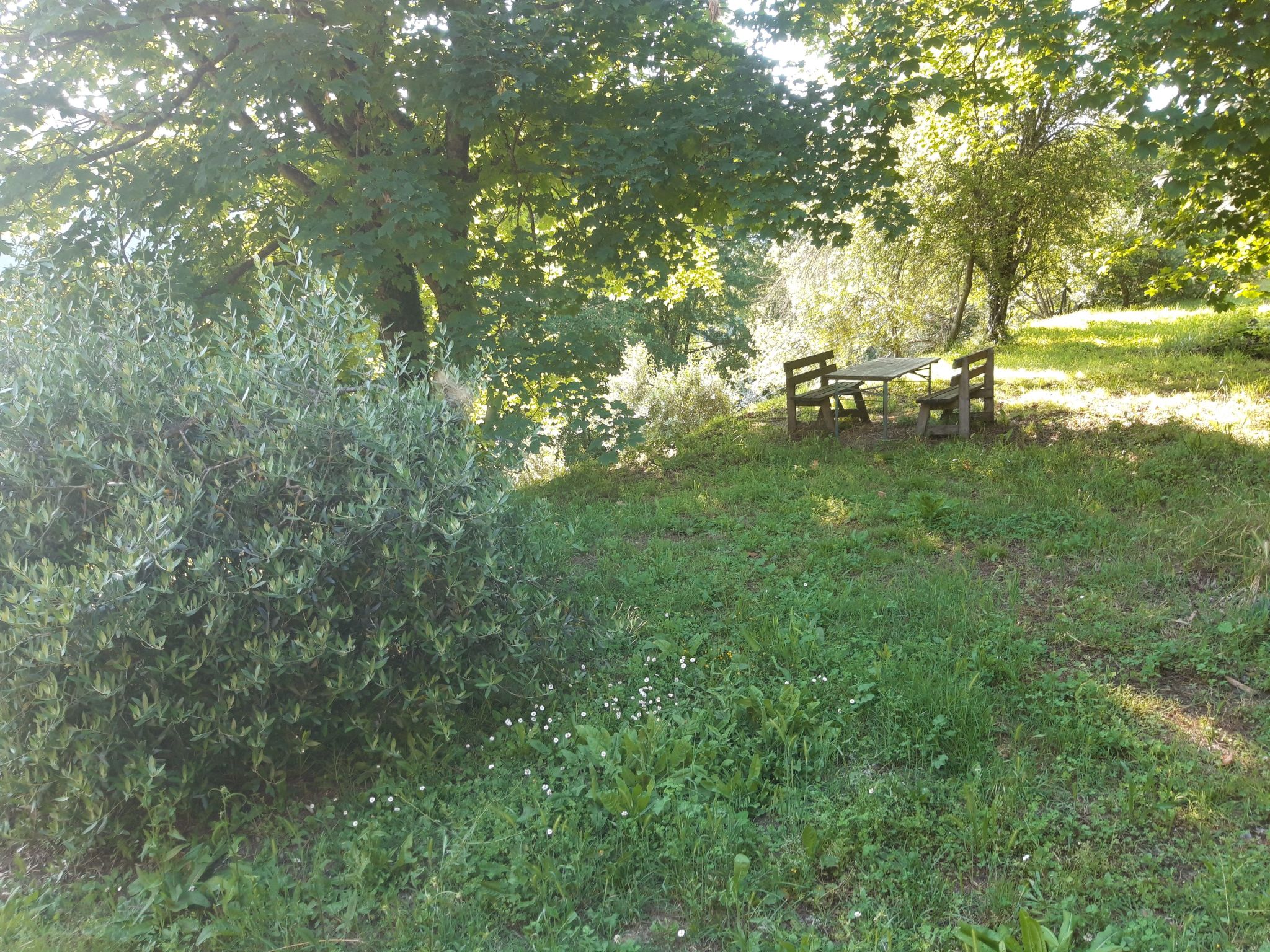 Toskanische Tradition-Binnen