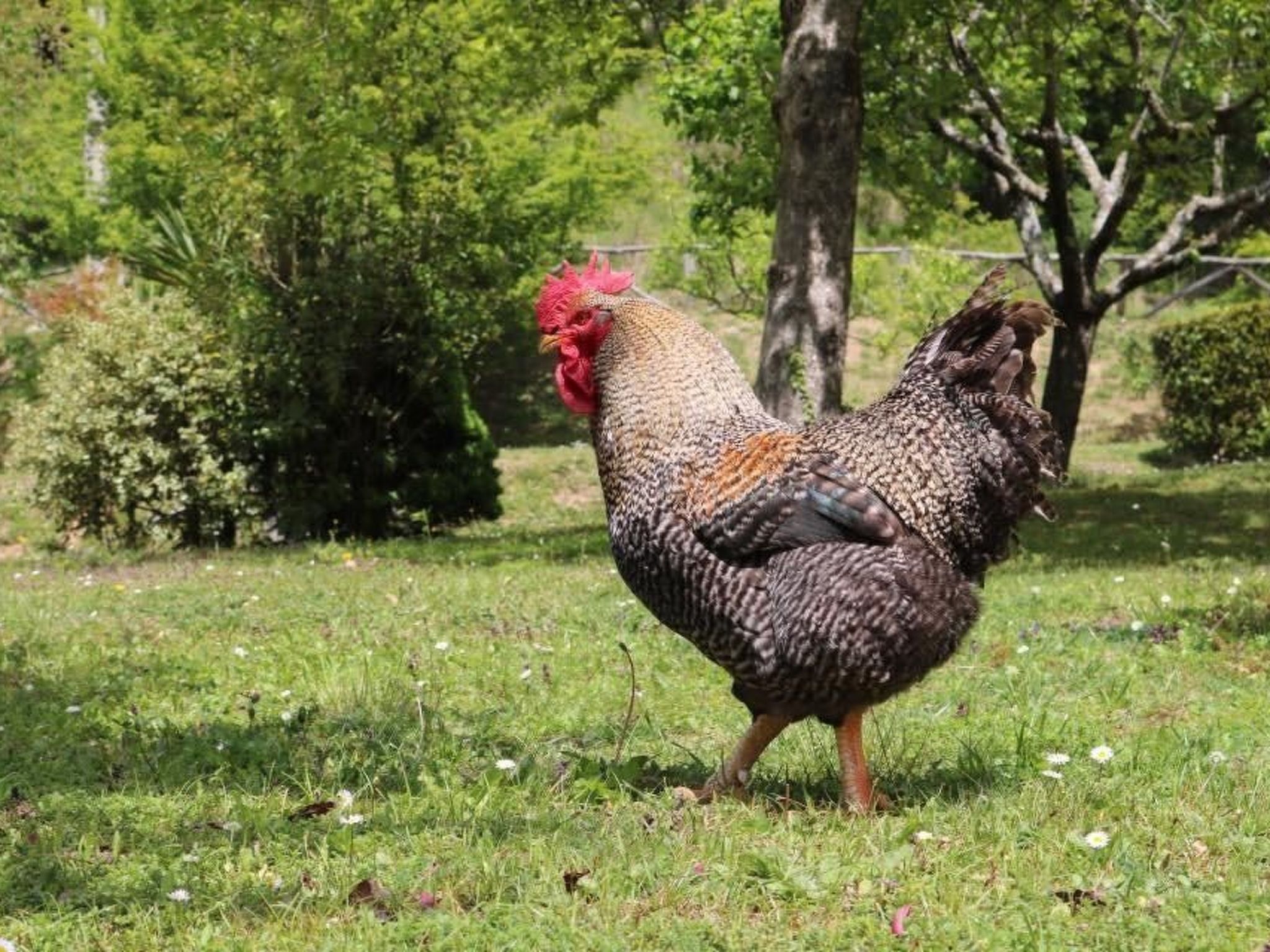 Wohnung 'Huts 3' mit Wasserblick-Binnen
