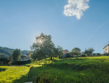 Authentiek bergverblijf in Camaiore met tuin, op 10 km van zee - thumbnail 5