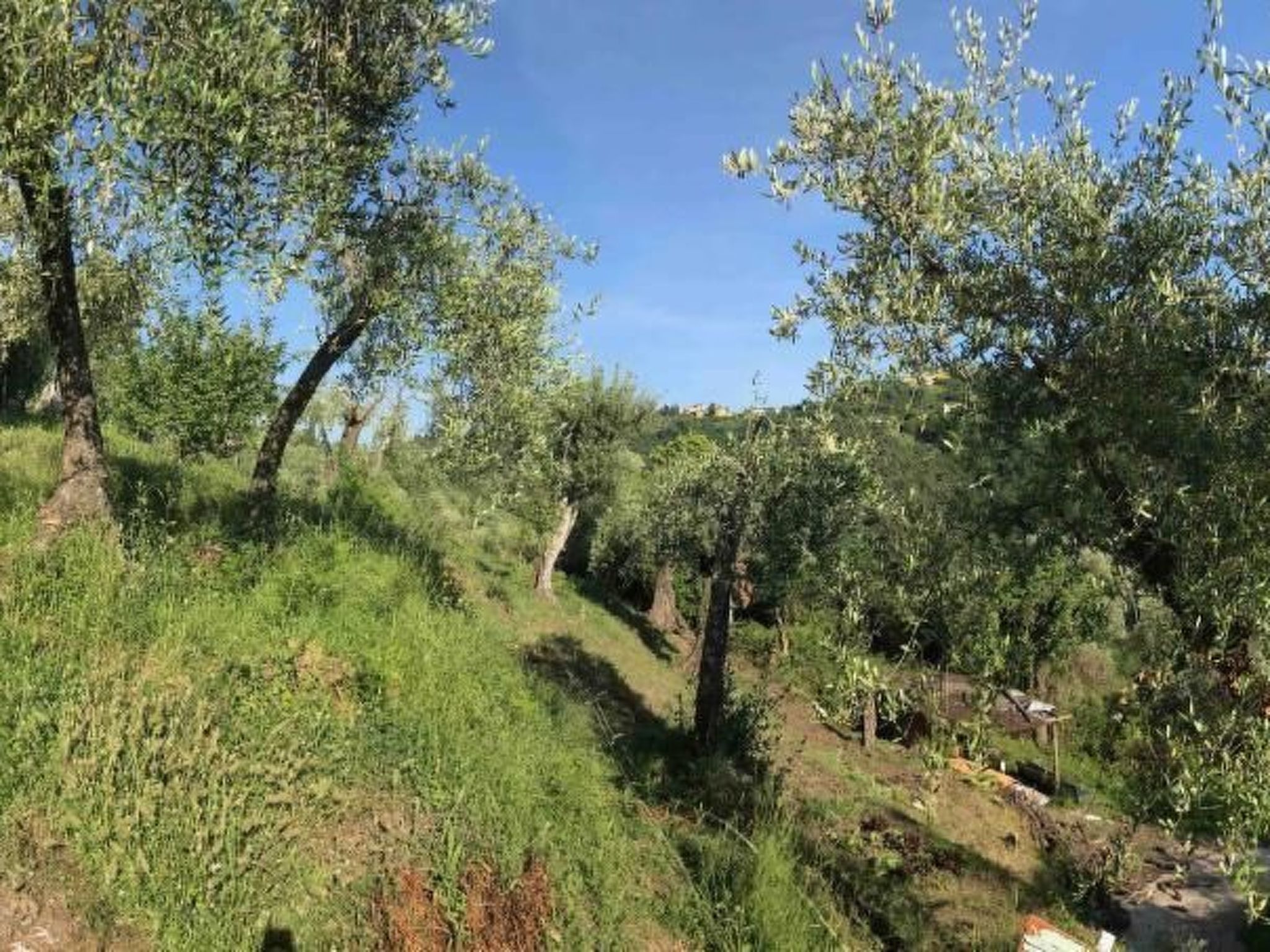 Artist's hill-Binnen