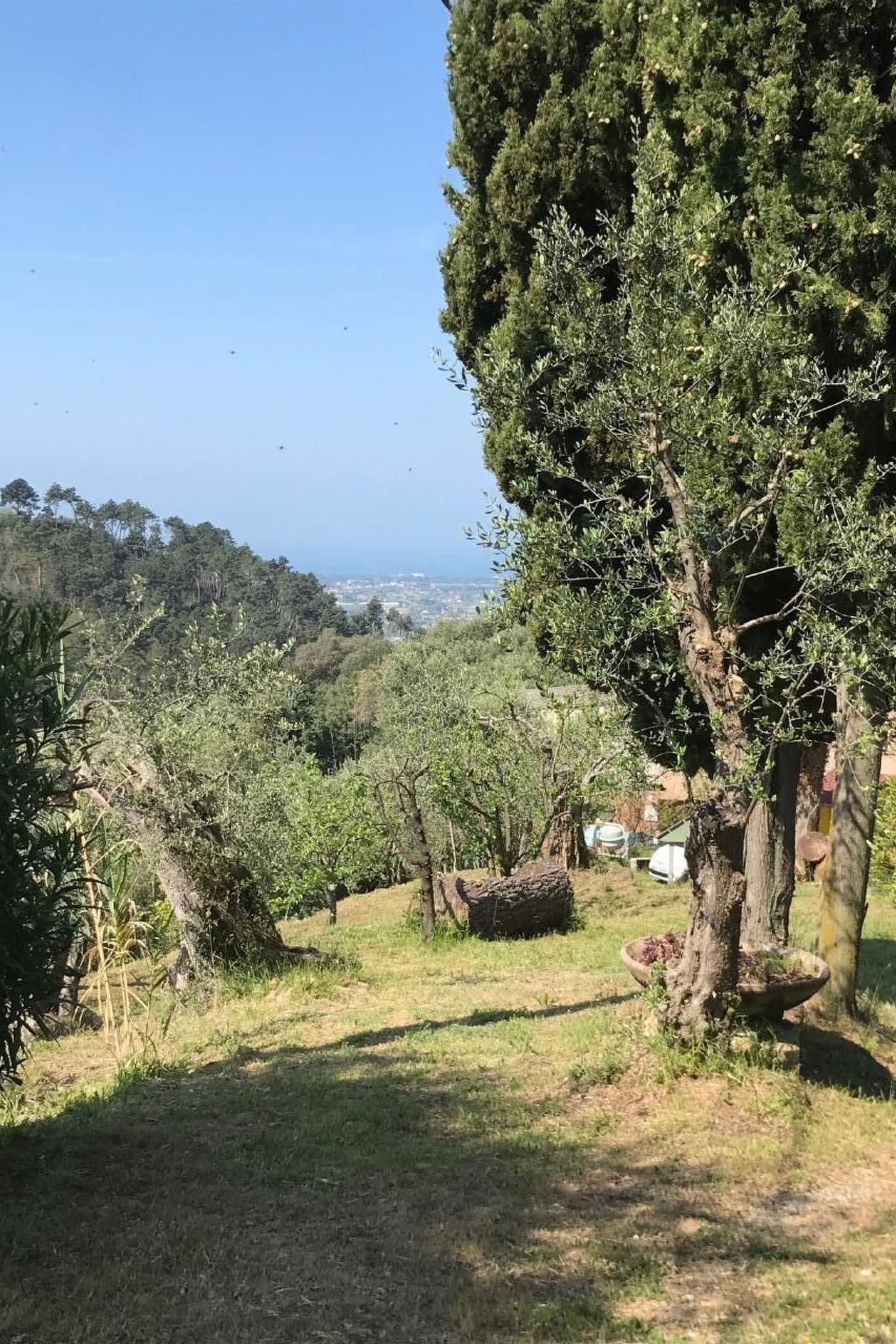 Artist's hill-Binnen