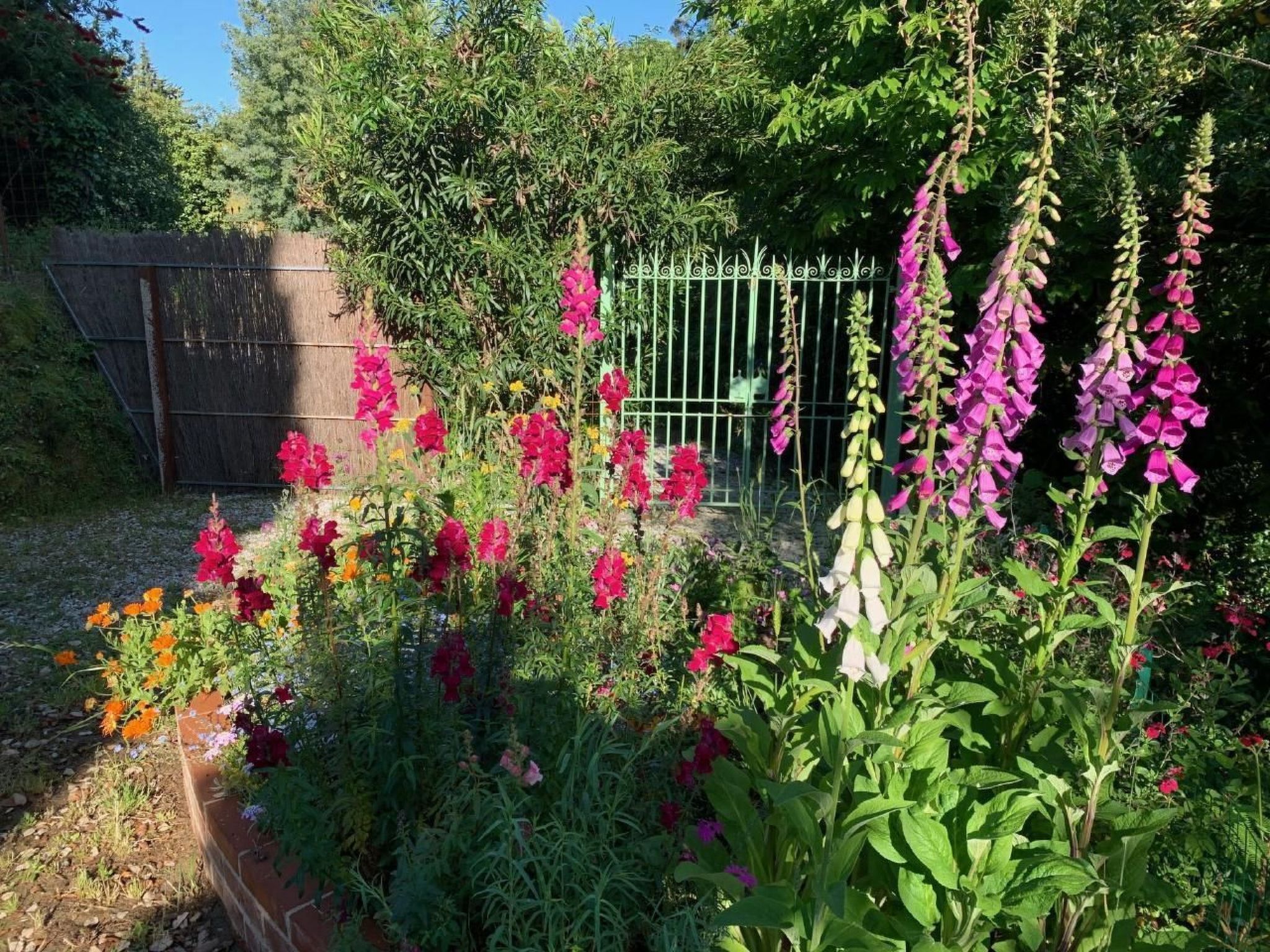 Artist's hill-Binnen