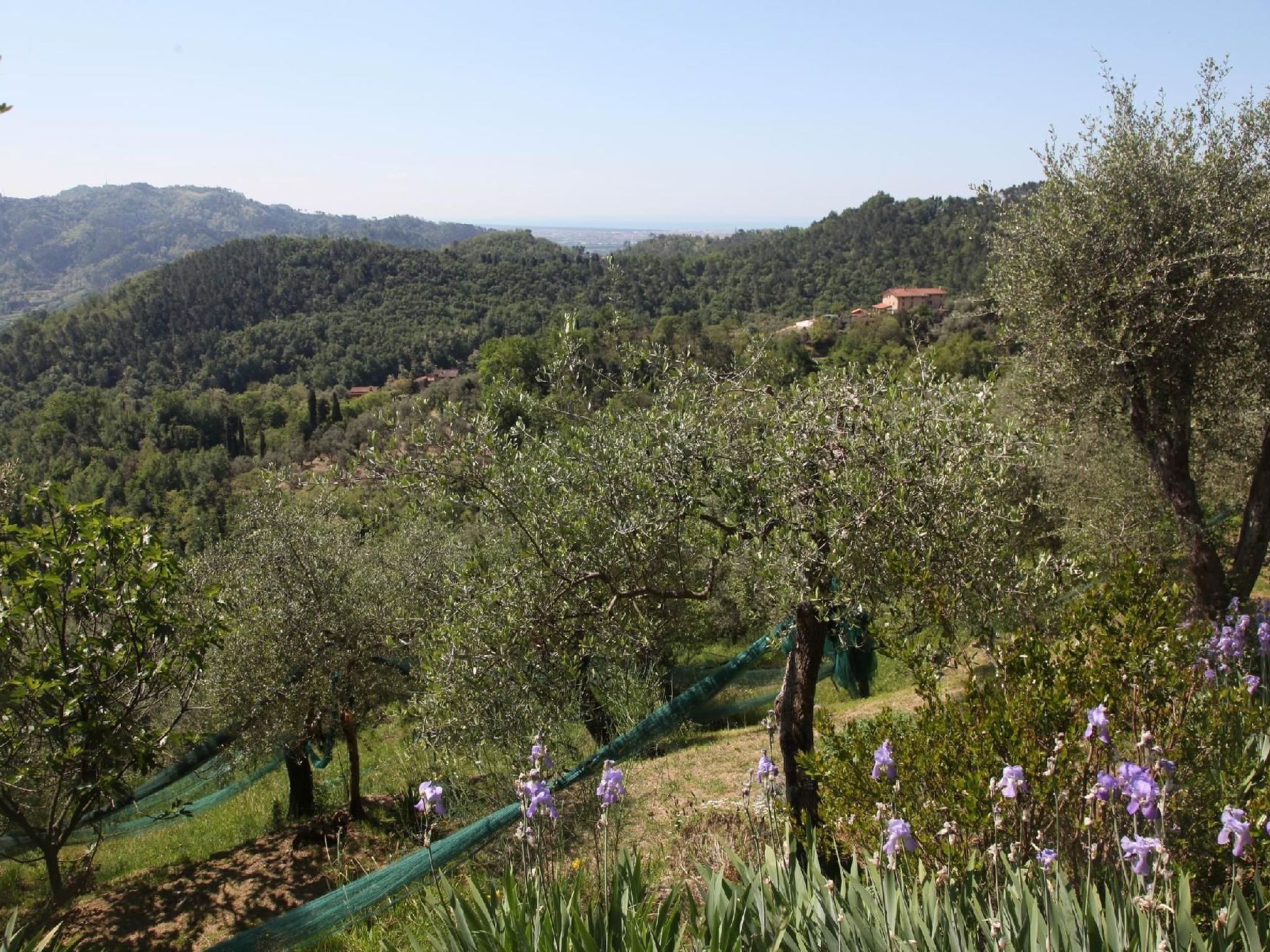 'Giaggioli' mit Garten und Terrasse-Image-tags.info