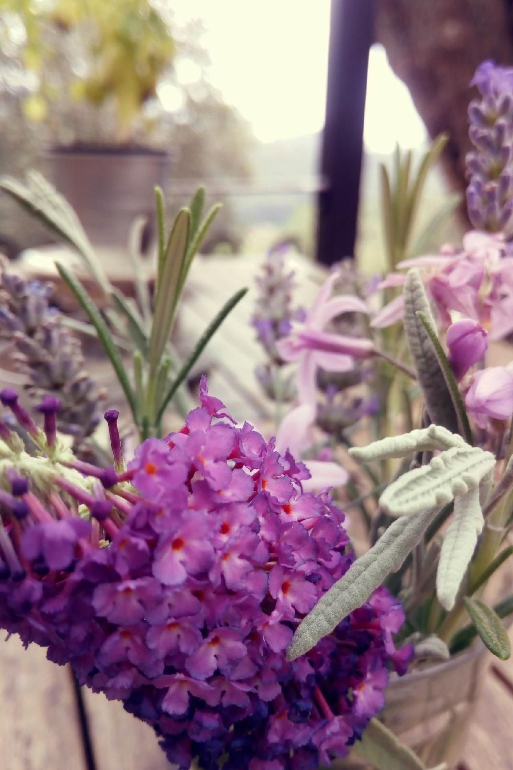 'Giaggioli' mit Garten und Terrasse-Image-tags.info