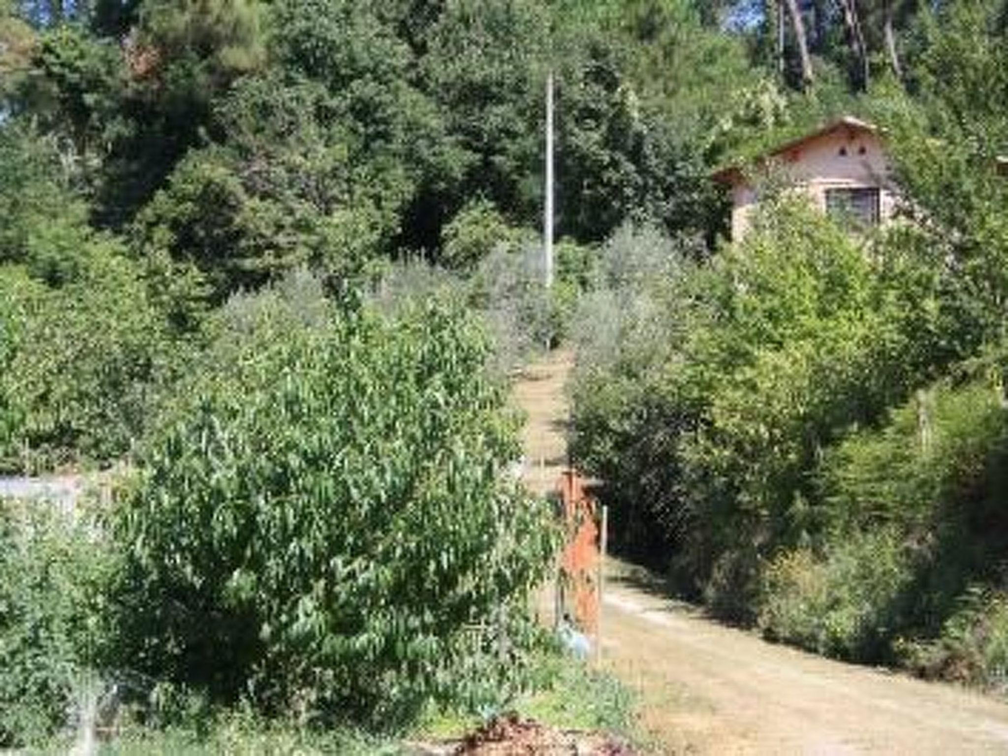 Rustico in schöner ruhigen Lage mit privatem Pool und großem Garten. - Image-tags.info