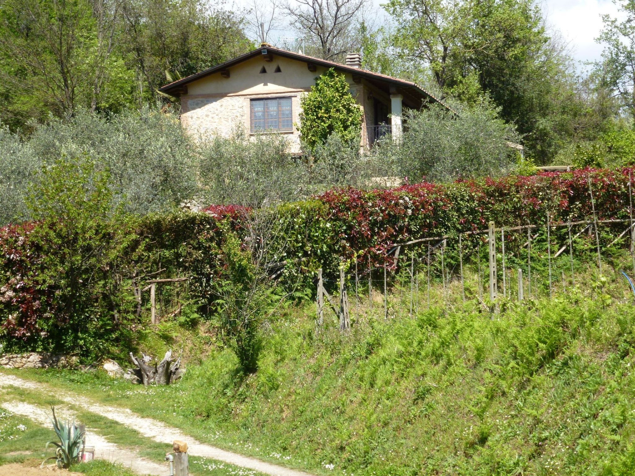 Rustico in schöner ruhigen Lage mit privatem Pool und großem Garten. - Image-tags.info