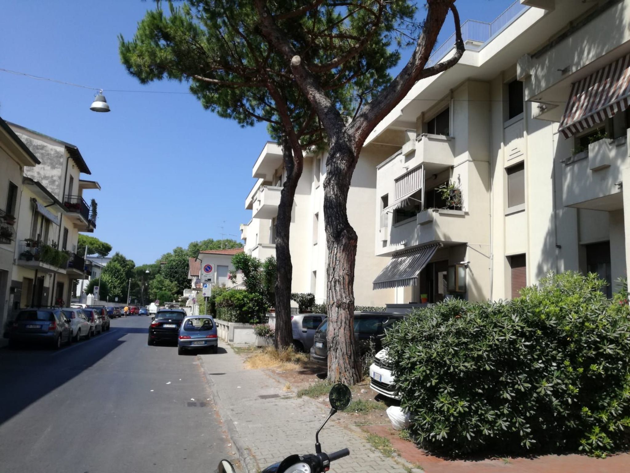 Wohnung CatCle ausgezeichnet für Familienurlaub - Image-tags.info