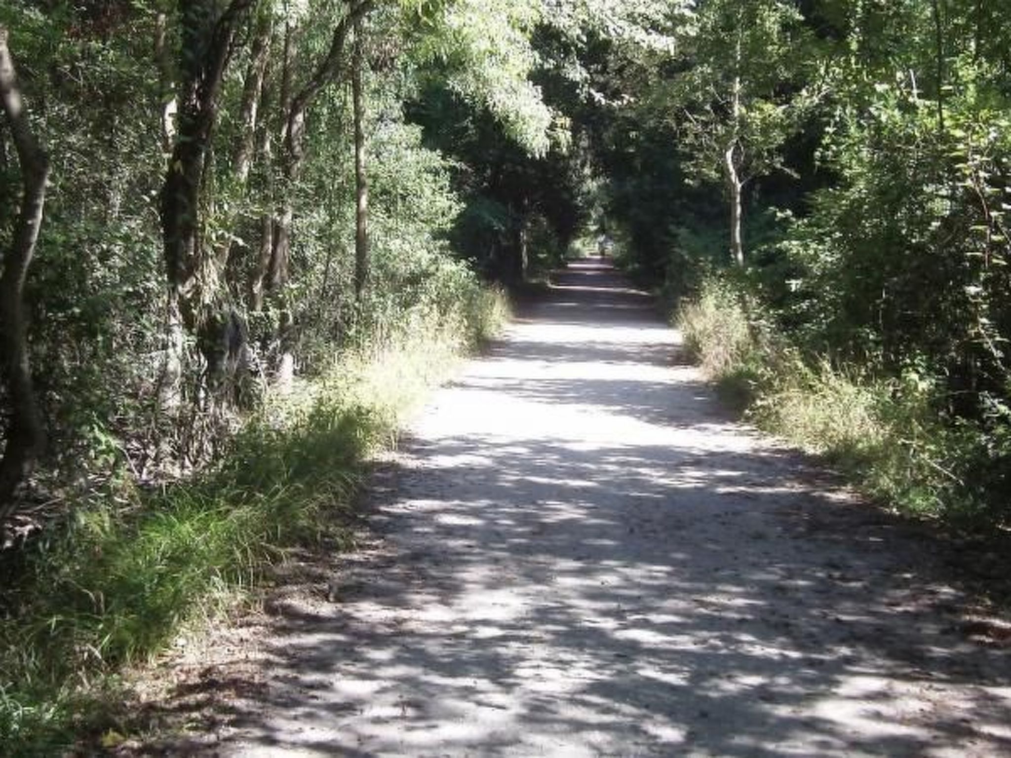 Mobilheim auf einem Campingplatz in der Nähe des Meeres, Pisa,-Image-tags.info